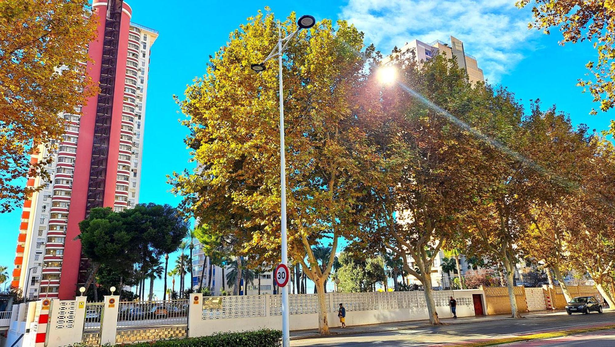 Las Damas - 23 B, Primera Linea, Playa Levante Benidorm Kültér fotó